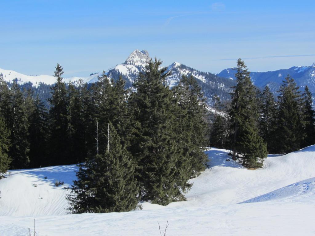 Hotel-Pension-Ostler Bad Wiessee Extérieur photo